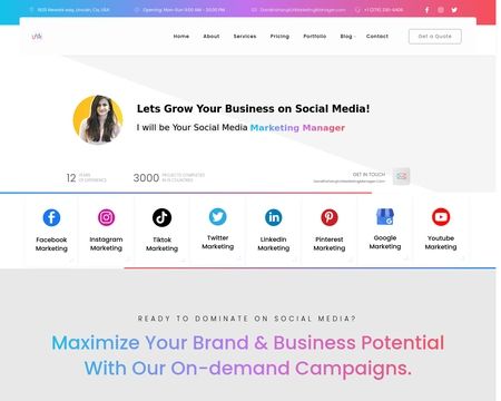 website thubmnail of Urmarketingmanager