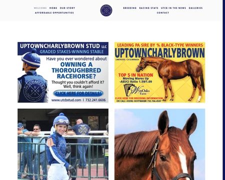 website thubmnail of UTCB Stud LLC