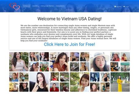 website thubmnail of Vietnamusadating