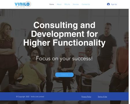 website thubmnail of Vinilo