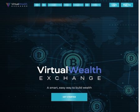 website thubmnail of Virtualwealthexchange.co