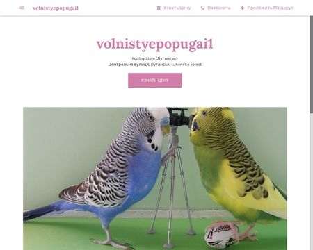 Volnistyepopugai