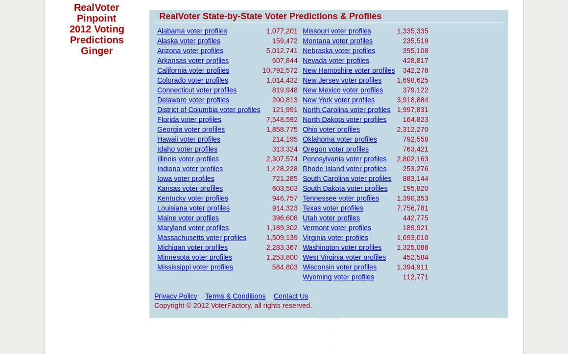 website thubmnail of Voter Factory