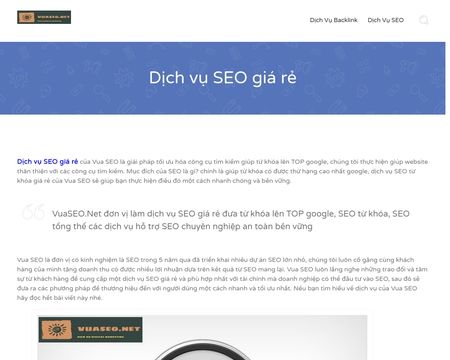website thubmnail of Vuaseo.net