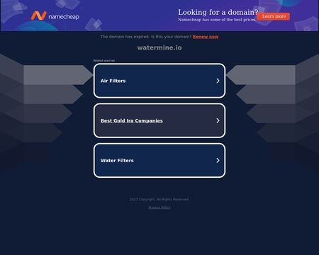 website thubmnail of Watermine.io