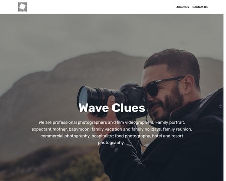 website thubmnail of Waveclues