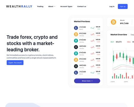 website thubmnail of WealthRally