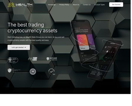 website thubmnail of Wealth State Group