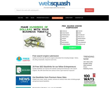 website thubmnail of Websquash