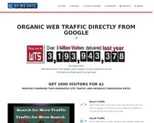 Thumbnail of Web Traffic Store