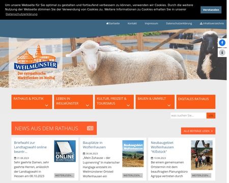 website thubmnail of Weilmuenster.de