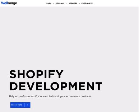 website thubmnail of Wellmage