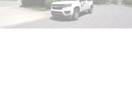 website thubmnail of Westfall's Lawn Care and Pest