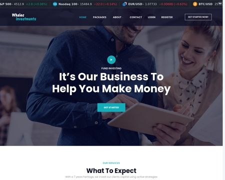 website thubmnail of Whalesinvestments