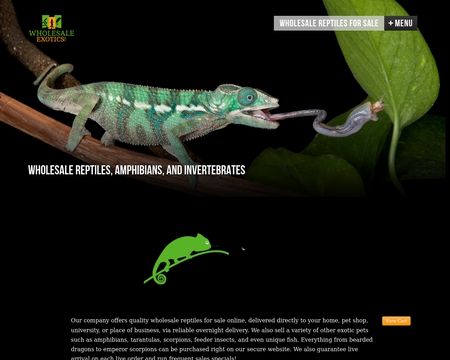 website thubmnail of Wholesale Exotics