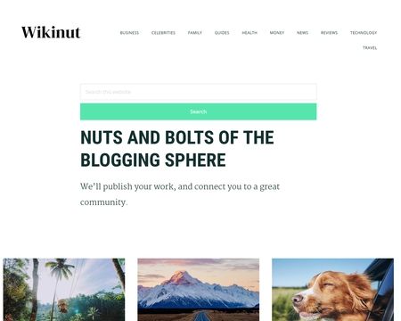 website thubmnail of Wikinut