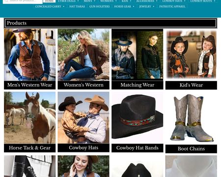 website thubmnail of The Wild Cowboy