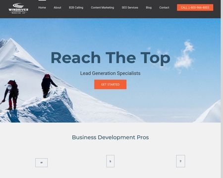 website thubmnail of Windriver Marketing LLC