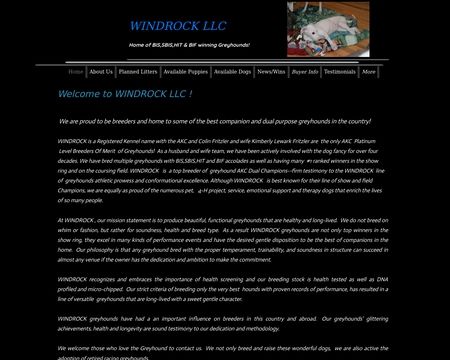 website thubmnail of Windrock LLC