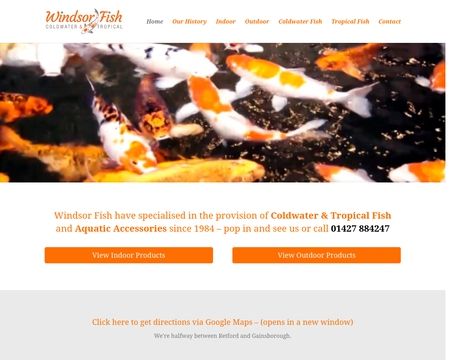 website thubmnail of Windsorfish.co.uk