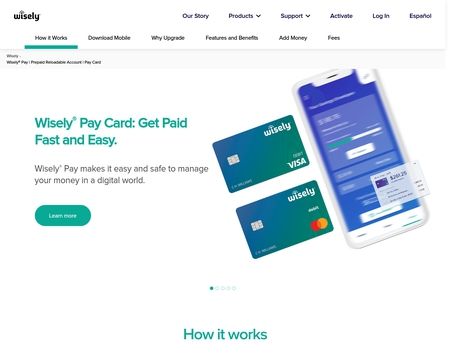 website thubmnail of Wisely