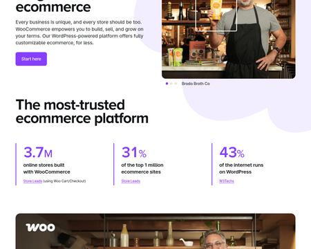 website thubmnail of Woo Commerce