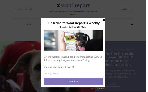 Thumbnail of Woofreport.com