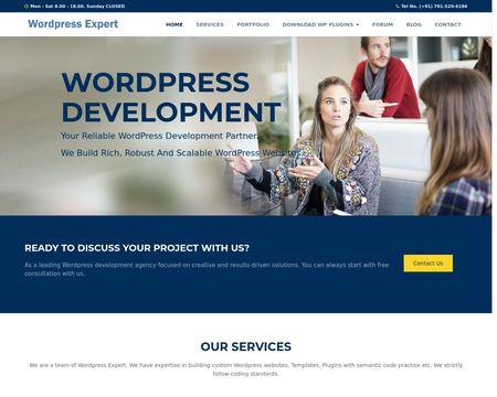 Wordpress Expert