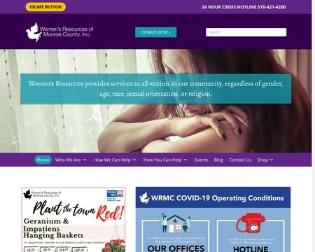 website thubmnail of WomensResourcesofMonroeCounty