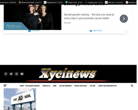 website thubmnail of XYCINEWS