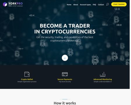 website thubmnail of Yorkpro