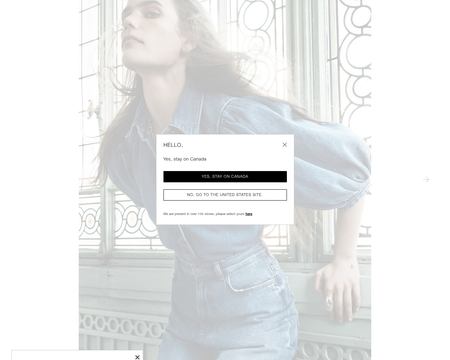 website thubmnail of Zara CA