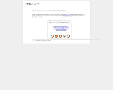 website thubmnail of Zazzle.co