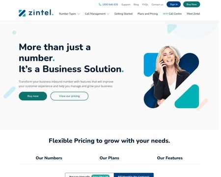 website thubmnail of Zintel.com.au