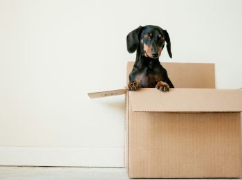 A Stress-Free Guide to Online Returns article cover